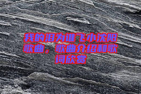 我的淚為誰(shuí)飛小沈陽(yáng)歌曲，歌曲介紹和歌詞欣賞