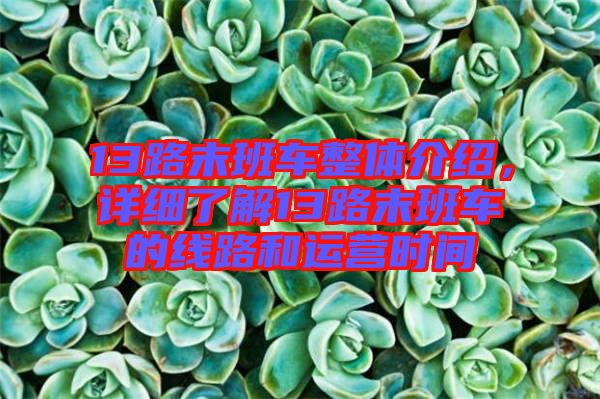 13路末班車整體介紹，詳細(xì)了解13路末班車的線路和運營時間