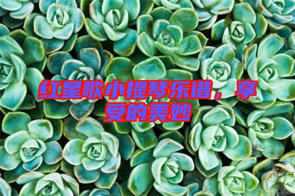 紅星歌小提琴樂(lè)譜，享受的美妙