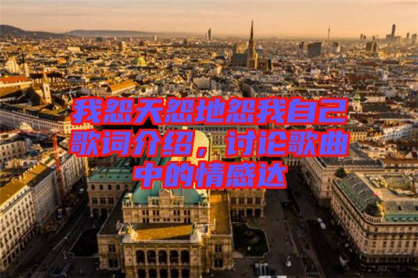 我怨天怨地怨我自己歌詞介紹，討論歌曲中的情感達(dá)