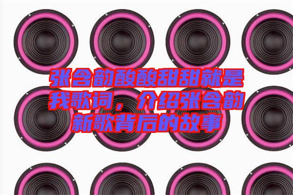 張含韻酸酸甜甜就是我歌詞，介紹張含韻新歌背后的故事