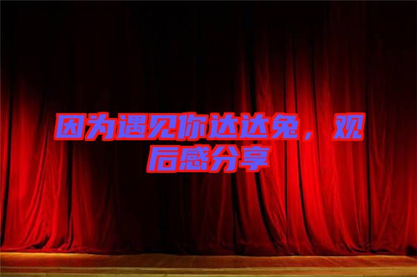 因?yàn)橛鲆娔氵_(dá)達(dá)兔，觀后感分享