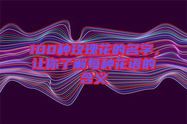 100種玫瑰花的名字，讓你了解每種花語(yǔ)的含義