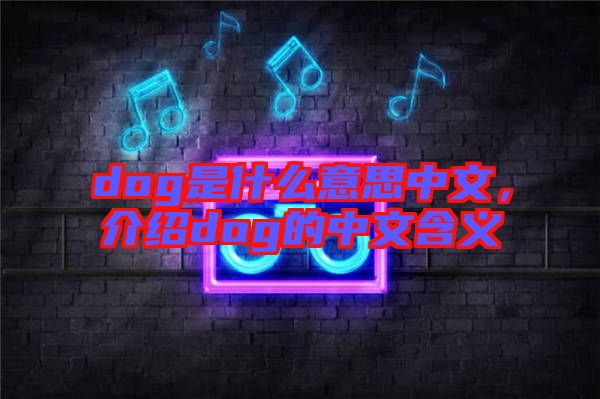 dog是什么意思中文，介紹dog的中文含義