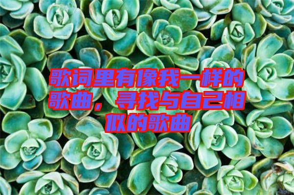 歌詞里有像我一樣的歌曲，尋找與自己相似的歌曲