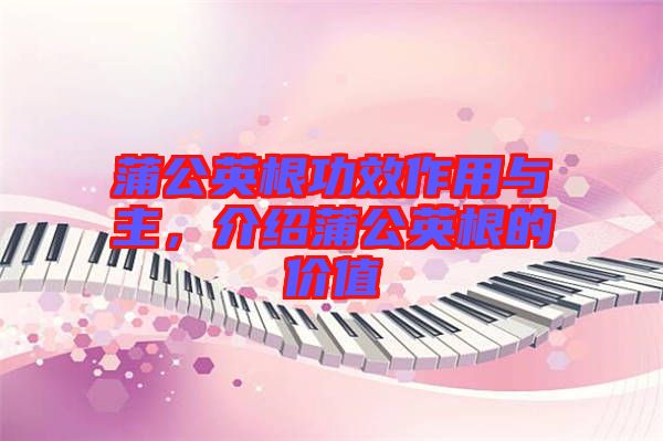 蒲公英根功效作用與主，介紹蒲公英根的價(jià)值