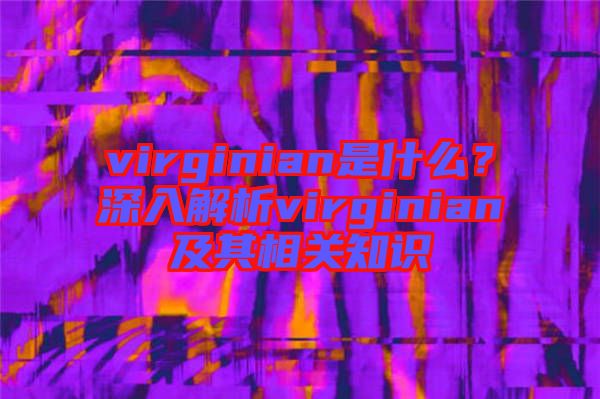 virginian是什么？深入解析virginian及其相關知識