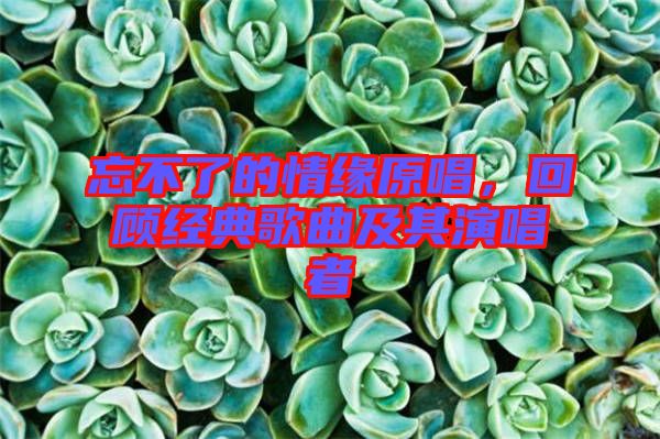 忘不了的情緣原唱，回顧經(jīng)典歌曲及其演唱者