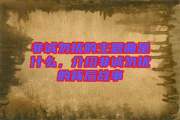 非誠勿擾的主題曲是什么，介紹非誠勿擾的背后故事