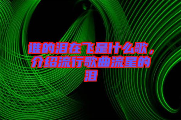 誰(shuí)的淚在飛是什么歌，介紹流行歌曲流星的淚