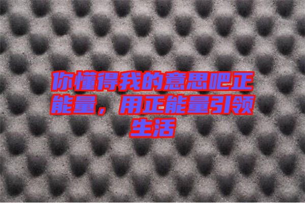 你懂得我的意思吧正能量，用正能量引領(lǐng)生活