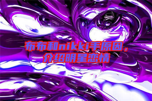 布布和nikki手原因，介紹明星戀情