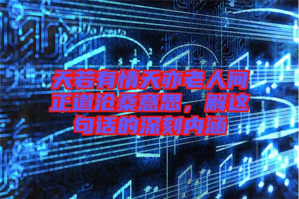 天若有情天亦老人間正道滄桑意思，解這句話的深刻內(nèi)涵