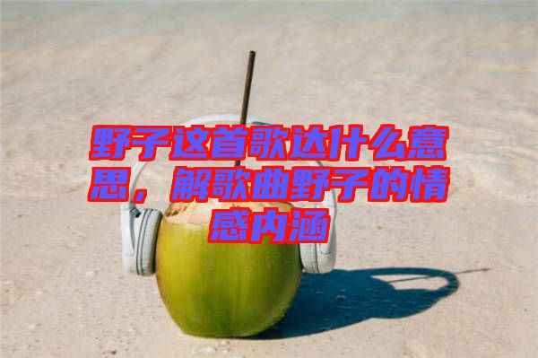 野子這首歌達(dá)什么意思，解歌曲野子的情感內(nèi)涵
