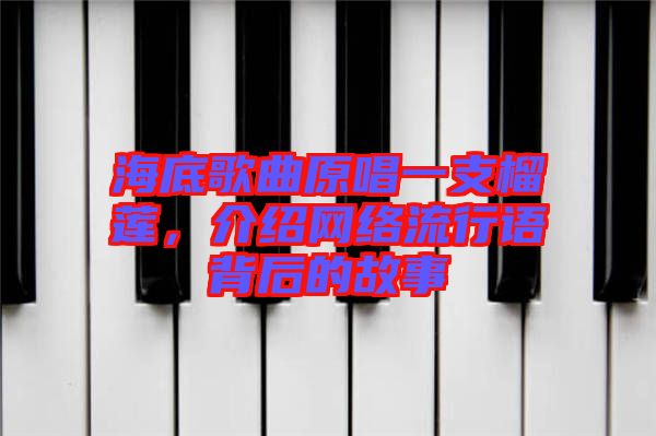 海底歌曲原唱一支榴蓮，介紹網(wǎng)絡(luò)流行語(yǔ)背后的故事