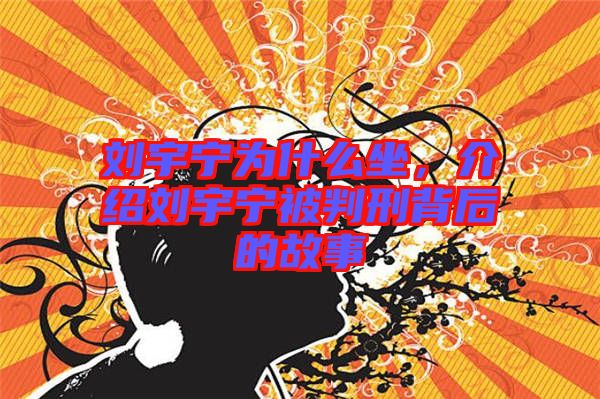 劉宇寧為什么坐，介紹劉宇寧被判刑背后的故事