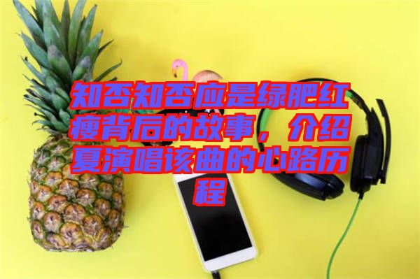 知否知否應(yīng)是綠肥紅瘦背后的故事，介紹夏演唱該曲的心路歷程