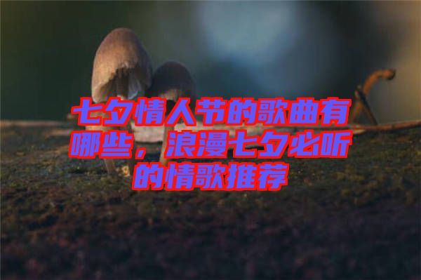 七夕情人節(jié)的歌曲有哪些，浪漫七夕必聽的情歌推薦