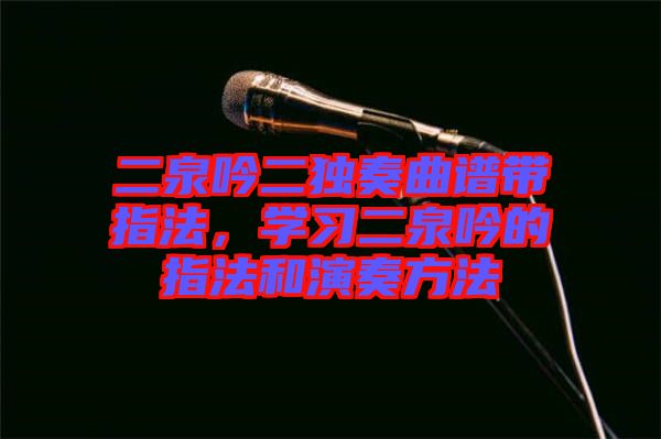 二泉吟二獨奏曲譜帶指法，學(xué)習(xí)二泉吟的指法和演奏方法