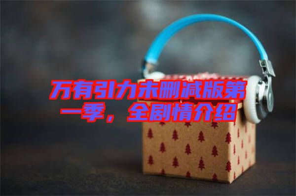 萬(wàn)有引力未刪減版第一季，全劇情介紹