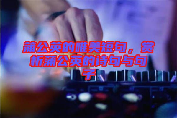 蒲公英的唯美短句，賞析蒲公英的詩句與句子