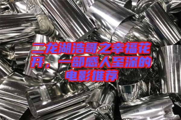 二龍湖浩哥之幸?；ㄩ_，一部感人至深的電影推薦