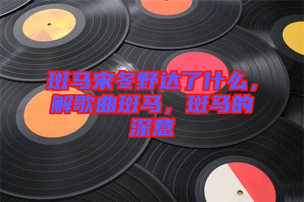 斑馬宋冬野達了什么，解歌曲斑馬，斑馬的深意