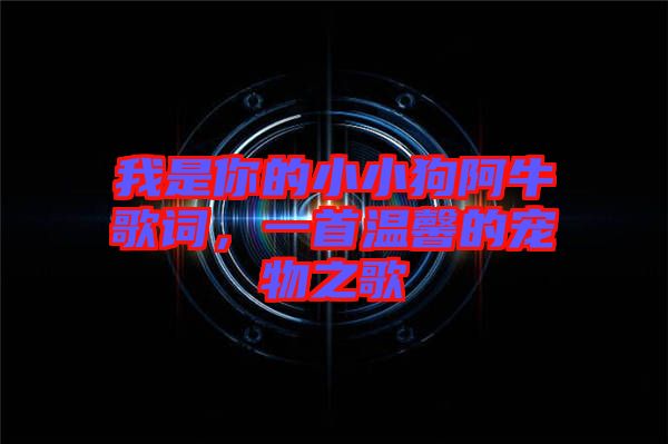 我是你的小小狗阿牛歌詞，一首溫馨的寵物之歌