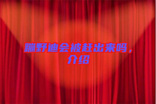 蹦野迪會(huì)被趕出來嗎，介紹