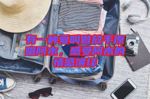 有一種愛(ài)叫做放手原唱阿木，感受阿木的情感演繹