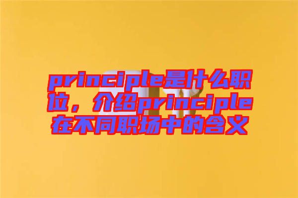 principle是什么職位，介紹principle在不同職場中的含義