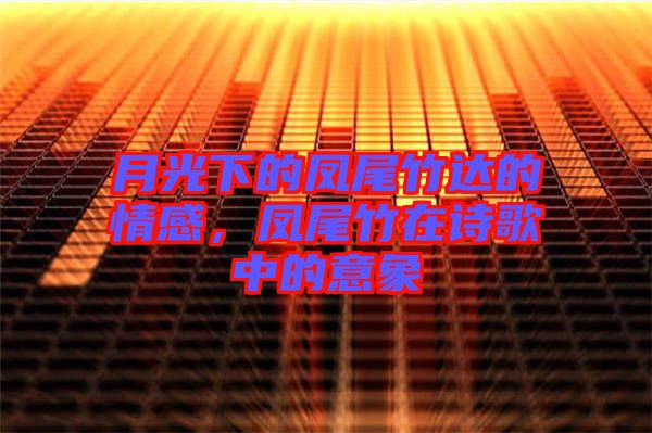 月光下的鳳尾竹達(dá)的情感，鳳尾竹在詩(shī)歌中的意象