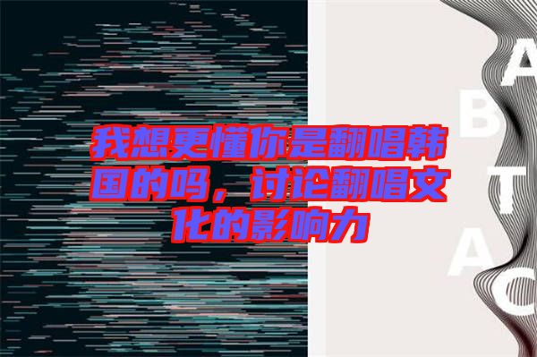 我想更懂你是翻唱韓國的嗎，討論翻唱文化的影響力