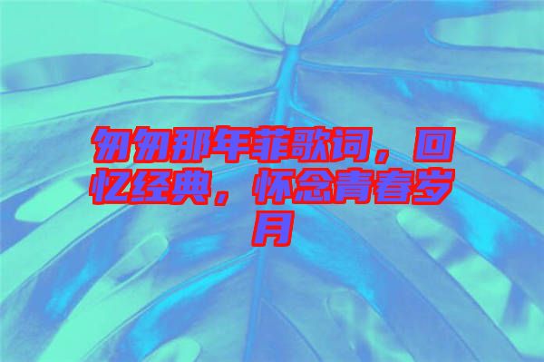 匆匆那年菲歌詞，回憶經(jīng)典，懷念青春歲月