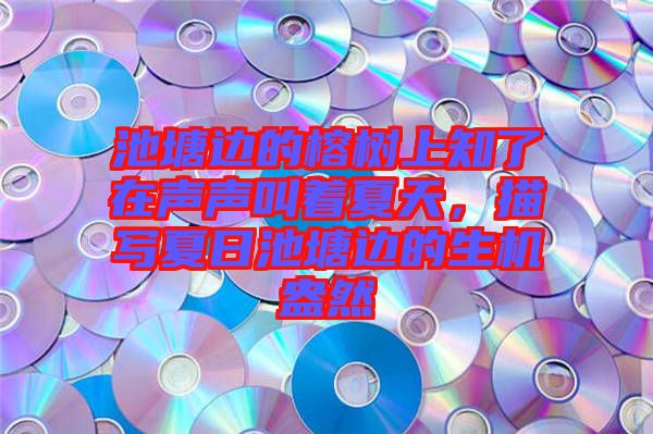 池塘邊的榕樹上知了在聲聲叫著夏天，描寫夏日池塘邊的生機(jī)盎然