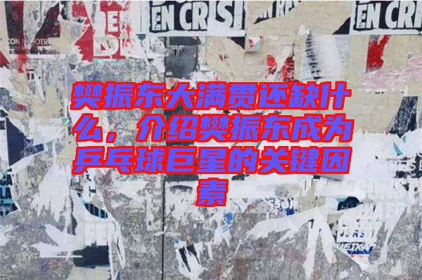 樊振東大滿貫還缺什么，介紹樊振東成為乒乓球巨星的關(guān)鍵因素