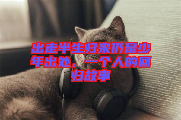 出走半生歸來仍是少年出處，一個(gè)人的回歸故事