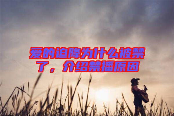 愛的迫降為什么被禁了，介紹禁播原因