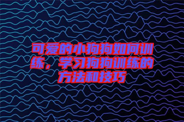 可愛的小狗狗如何訓(xùn)練，學(xué)習(xí)狗狗訓(xùn)練的方法和技巧