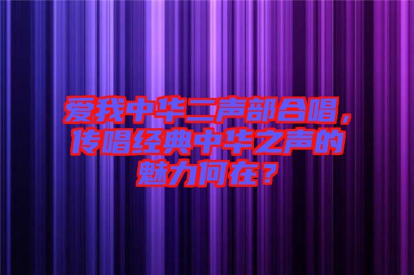 愛我中華二聲部合唱，傳唱經(jīng)典中華之聲的魅力何在？