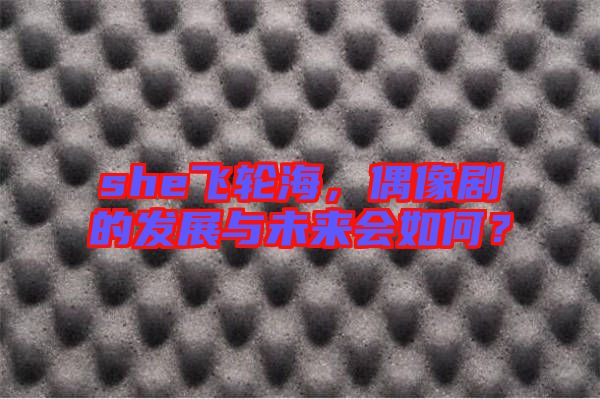 she飛輪海，偶像劇的發(fā)展與未來會如何？