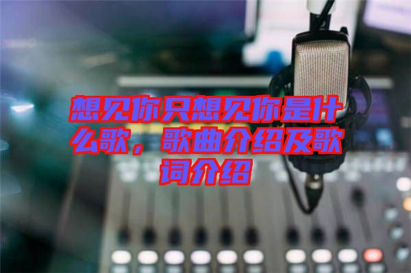 想見你只想見你是什么歌，歌曲介紹及歌詞介紹