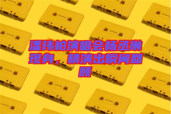 潘瑋柏演唱會楊丞琳現(xiàn)身，精演出瞬間回顧
