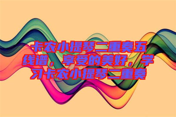 卡農(nóng)小提琴二重奏五線譜，享受的美好，學(xué)習(xí)卡農(nóng)小提琴二重奏
