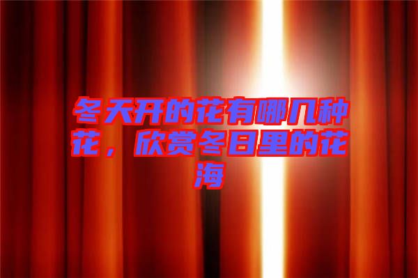 冬天開的花有哪幾種花，欣賞冬日里的花海