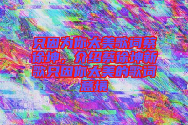 只因?yàn)槟闾栏柙~蔡徐坤，介紹蔡徐坤新歌只因你太美的歌詞意境