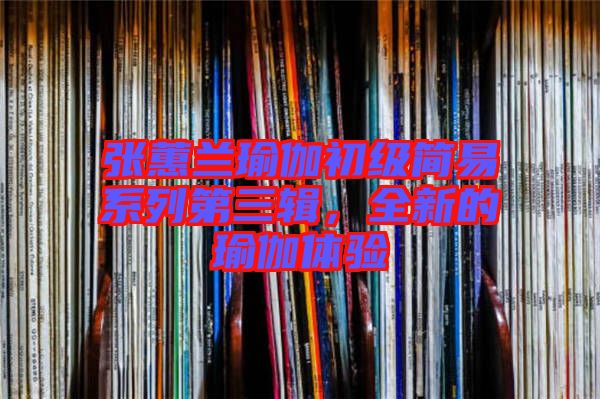 張蕙蘭瑜伽初級(jí)簡易系列第三輯，全新的瑜伽體驗(yàn)