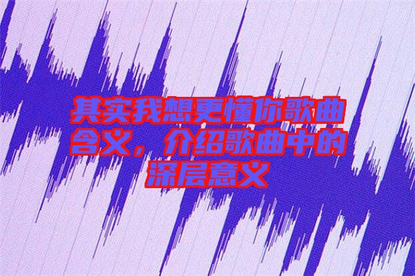其實(shí)我想更懂你歌曲含義，介紹歌曲中的深層意義