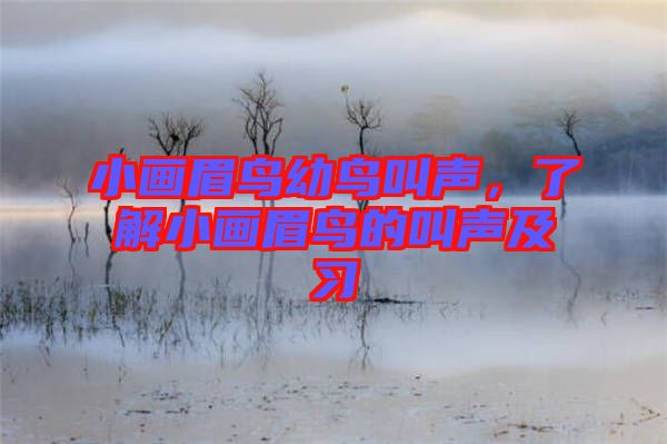 小畫眉鳥幼鳥叫聲，了解小畫眉鳥的叫聲及習(xí)