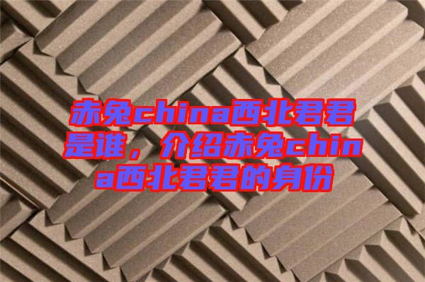 赤兔china西北君君是誰，介紹赤兔china西北君君的身份